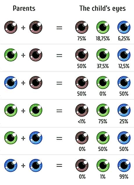 Choose Your Baby’s Eye Color | The Fertility Institutes offers eye ...